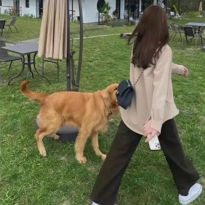 山姆·克莱默克的时间机器海报